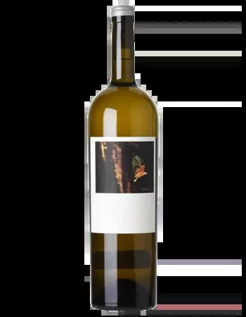 2017 Sine Qua Non | Tectumque