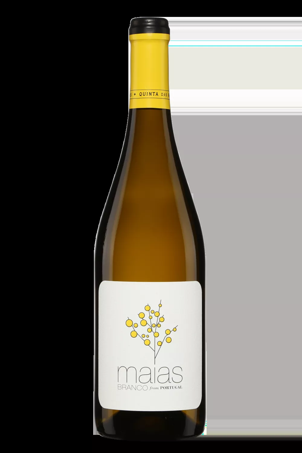 Maias Branco