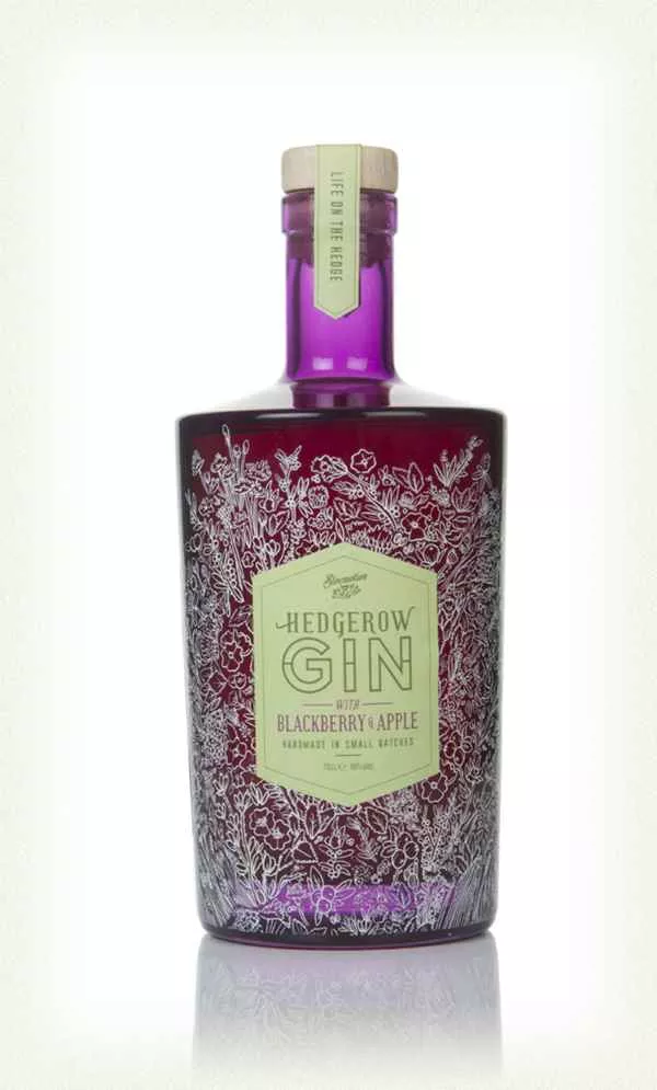 Sloemotion Hedgerow Blackberry & Apple Flavoured Gin | 700ML
