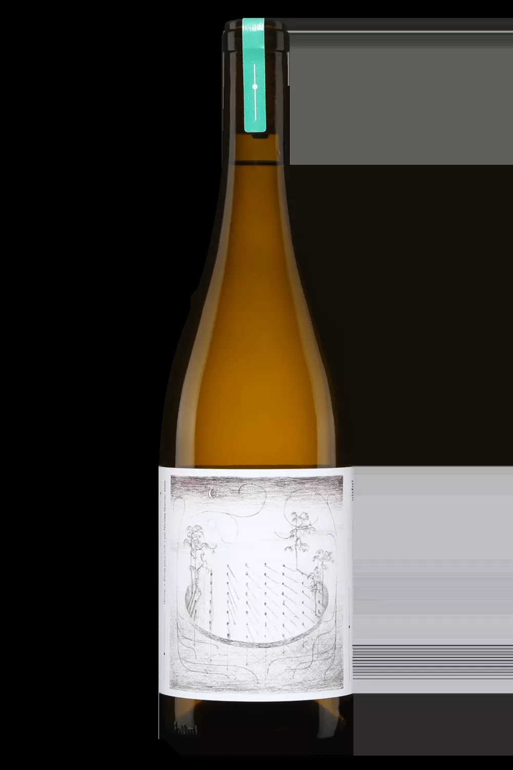 Vignoble l'Arpège Vidal Untitled
