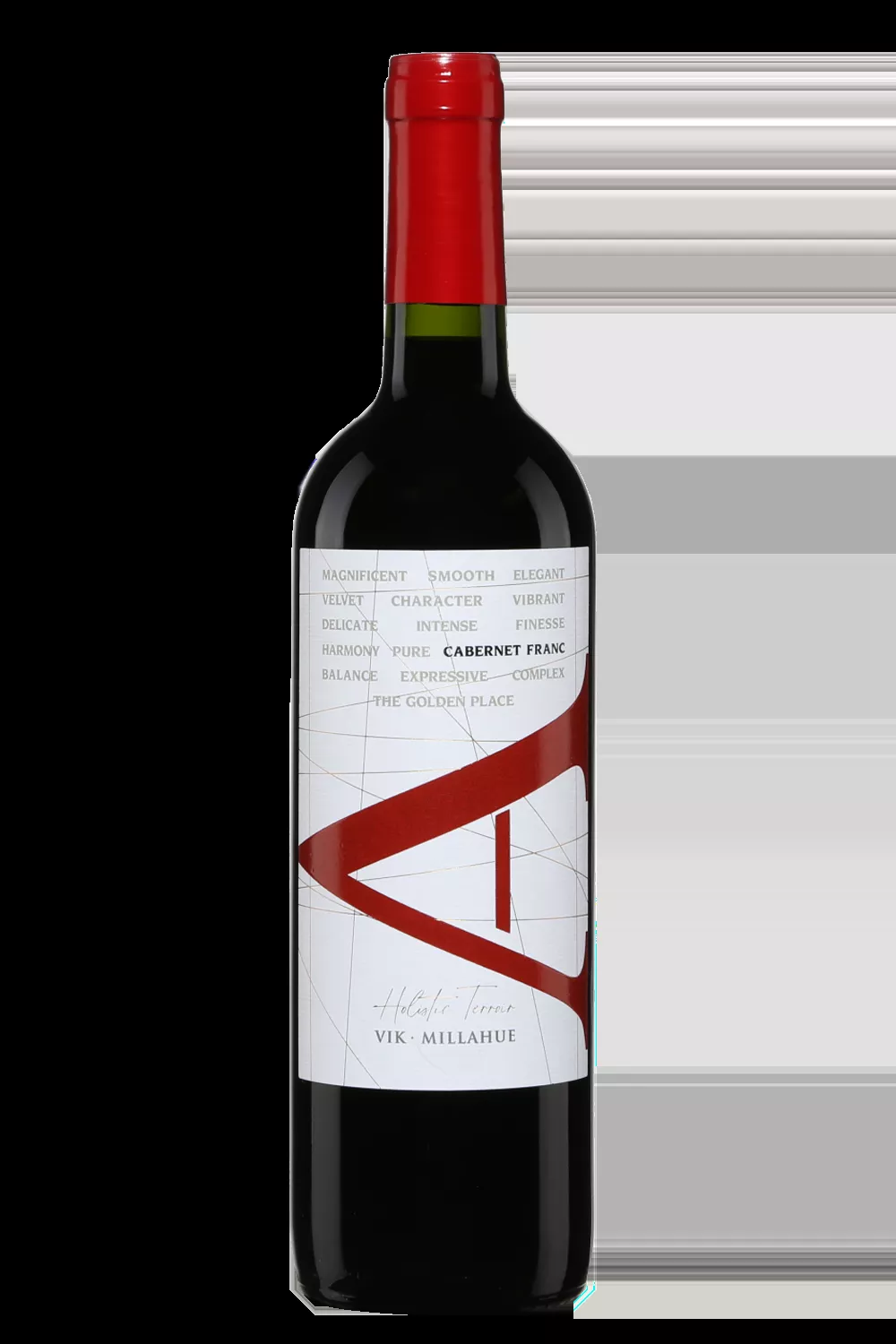 Vik A Cachapoal Valley