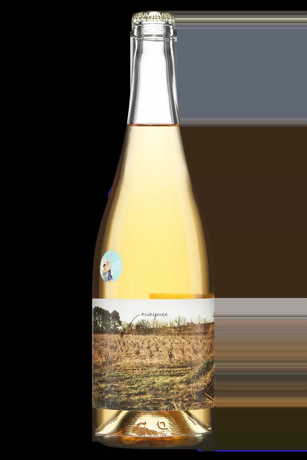 Vinyes Singulars Minipuça